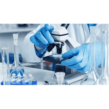 انگیزه درونی، پشتکار، اعتمادبه‌نفس همراه با تواضع علمی و پذیرش نقد و شکست، پایه‌های اصلی مسیر پژوهش هستن/دکتر منصوری