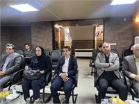 نظام پزشکی۳۳